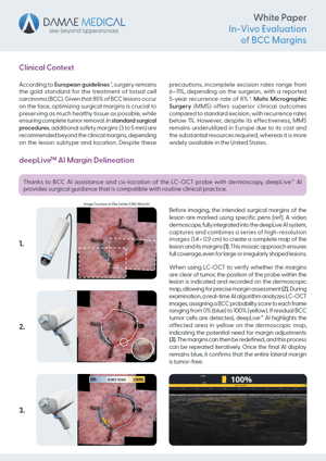 White paper In-Vivo evaluation of BCC Margins White paper In-Vivo evaluation of BCC Margins